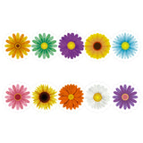 OSNIE 60Ft Sunflowers Theme Bulletin Board Borders Spring Flowers Straight Border Trim for Home Nursery School Classroom Wall Chalkboard Whiteboard Display Birthday Party Baby Shower Decoration 60Pcs