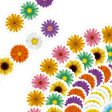 OSNIE 60Ft Sunflowers Theme Bulletin Board Borders Spring Flowers Straight Border Trim for Home Nursery School Classroom Wall Chalkboard Whiteboard Display Birthday Party Baby Shower Decoration 60Pcs