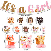 OSNIE 14Pcs Floral Woodland Animals Baby Shower Party Decoration It’s a Girl Party Banner Honeycomb Centerpieces Hanging Swirls for Baby Girl Creatures Forest Animal Theme Gender Reveal Party Supplies