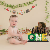 OSNIE Wild One Letter Sign Wooden Table Centerpieces Plaques Tropical Safari Jungle Animal Party Decorations Supplies for Wild One First Birthday Milestone Baby Shower Decor Cake Smash Photo Props